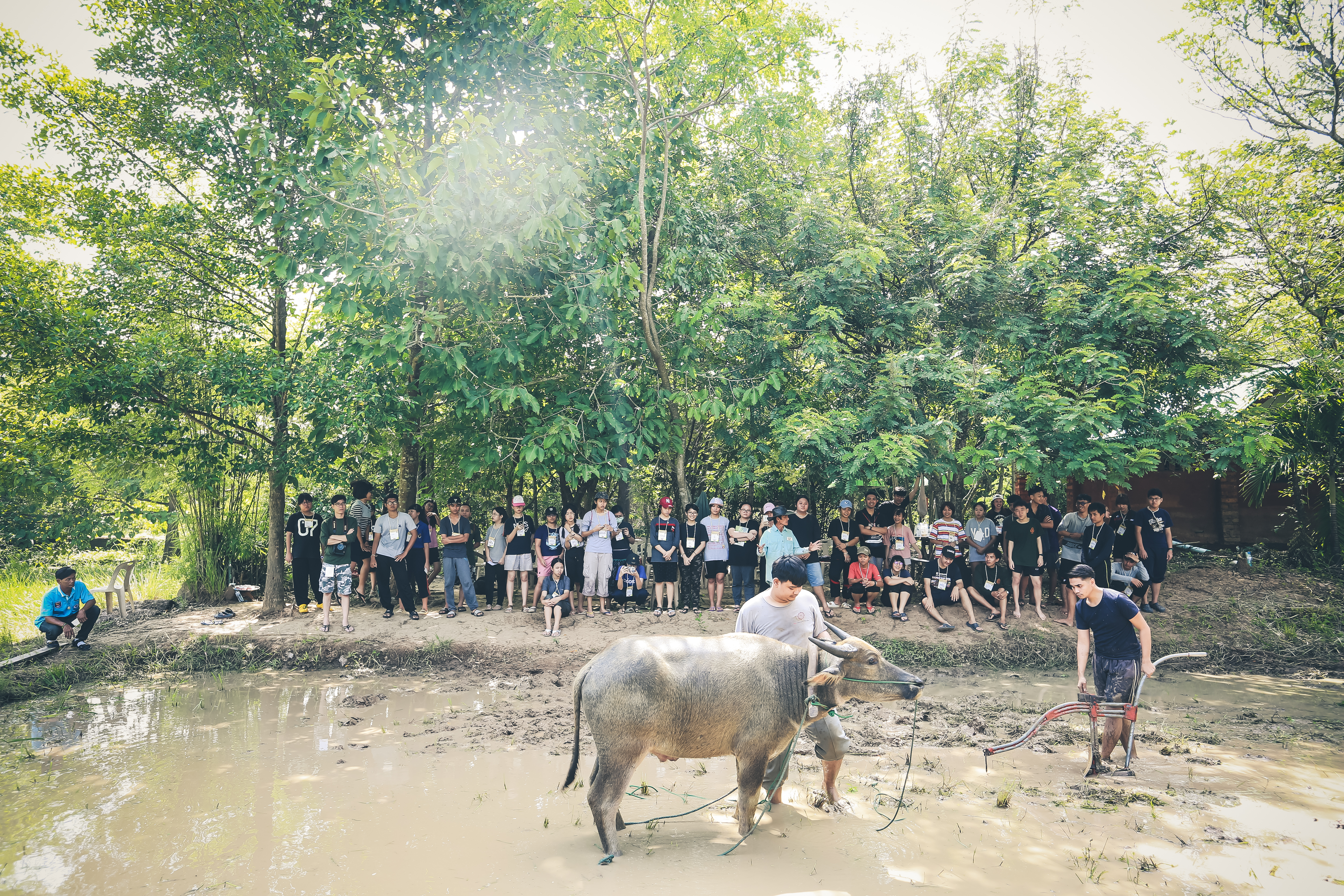 การเรียนรู้และการปฏิบัติการ สระแก้ว